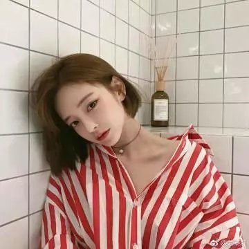 蚂蚁的梦想